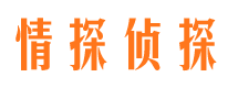 张家口外遇调查取证